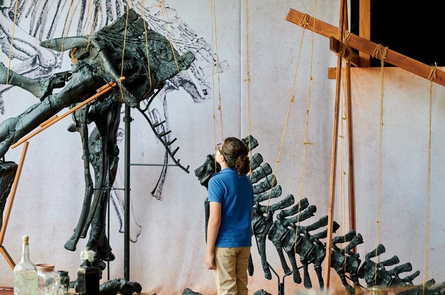 TOLAB WAPI Musée Iguanodon 007