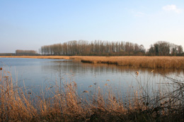 marais d'harchies