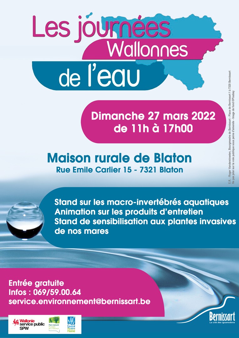 affiche journee eau