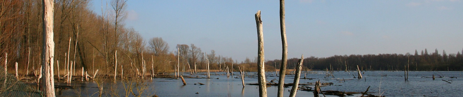 MARAIS D'HARCHIES