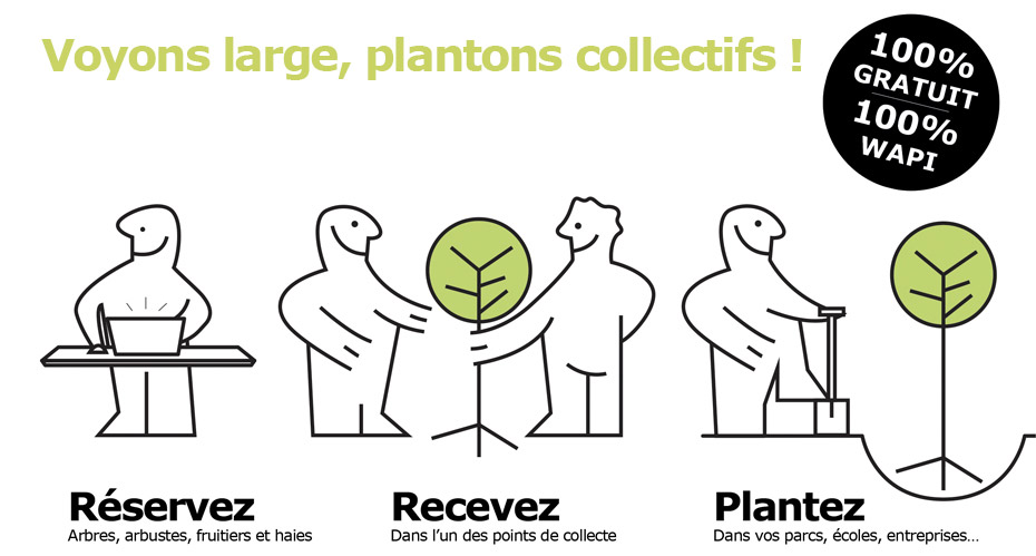 plantons