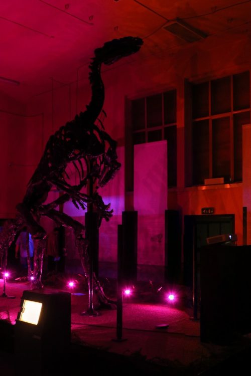 ASCII   Kolor stitching | 2 pictures | Size: 5685 x 5515 | FOV: 46.39 x 45.02 ~ 2.99 | RMS: 3.32 | Lens: Standard | Projection: Planar | Color: LDR |